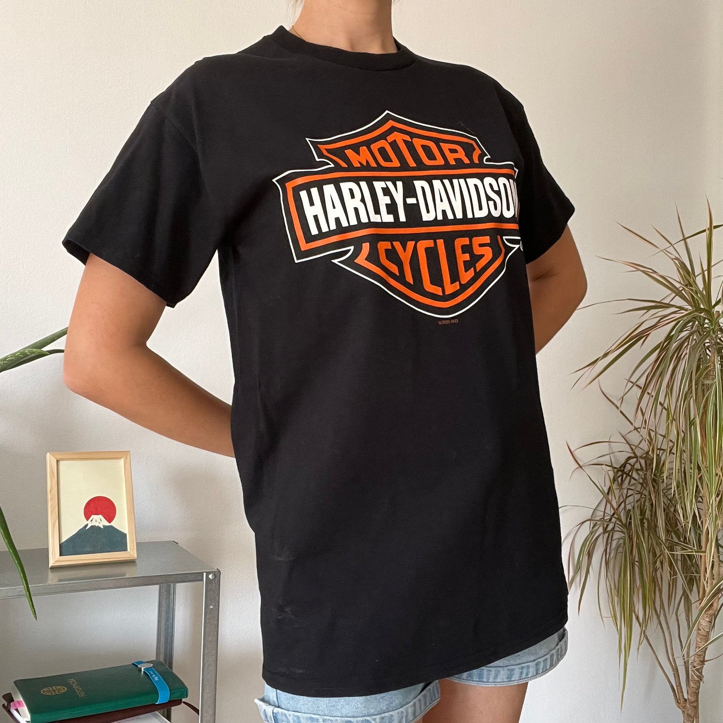 Harley Davidson, black T-shirt-Size M